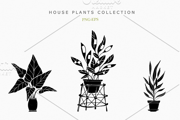 House Plants Collection in Objects - product preview 4