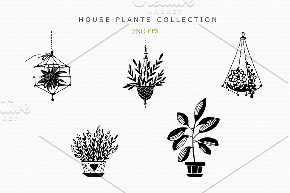 House Plants Collection in Objects - product preview 5