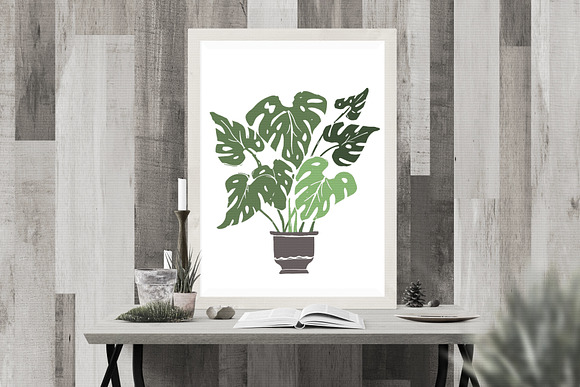 House Plants Collection in Objects - product preview 6