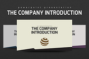 The Company Introduction