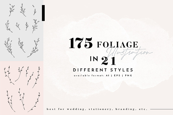 Floral Illustration & Logo Packs in Logo Templates - product preview 2