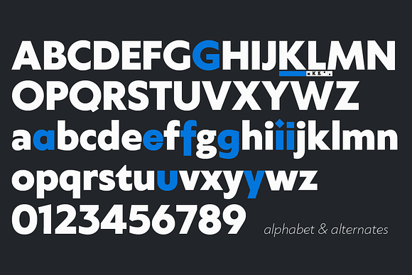 Klein - 54 fonts in Sans-Serif Fonts - product preview 9