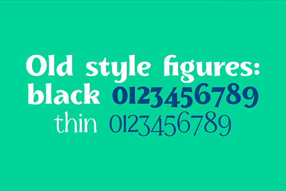 Skiff Black & Thin in Serif Fonts - product preview 2