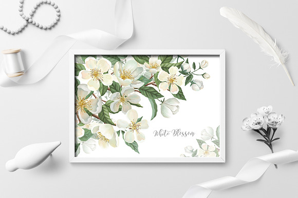 White Blossom Collection in Illustrations - product preview 1
