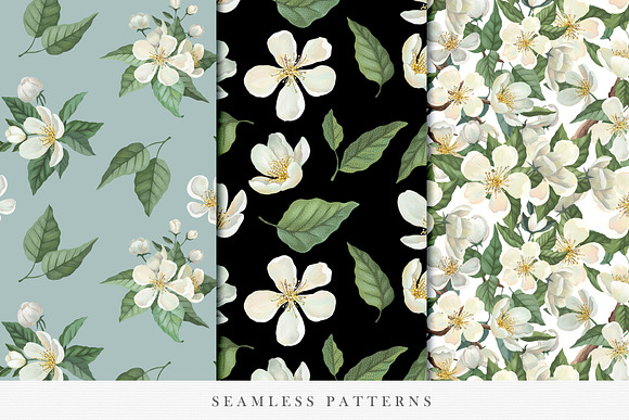 White Blossom Collection in Illustrations - product preview 7