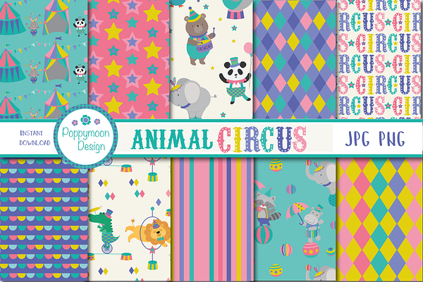 Animal Circus paper