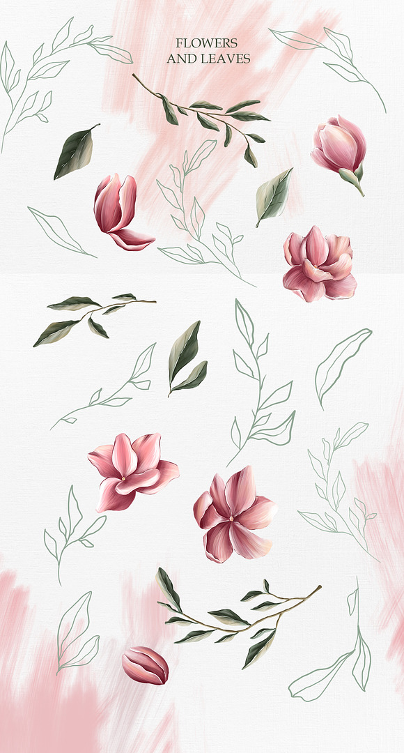 Magnolia bloom Collection in Illustrations - product preview 1