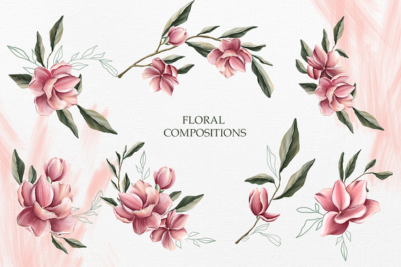 Magnolia bloom Collection in Illustrations - product preview 7