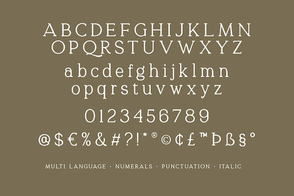 Quelity - Crooked Serif Font in Serif Fonts - product preview 8