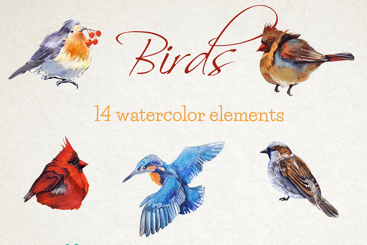 Birds watercolor clipart set in Illustrations - product preview 8