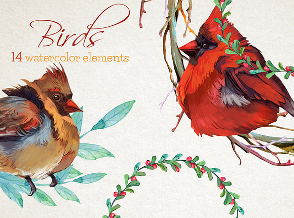Birds watercolor clipart set in Illustrations - product preview 2