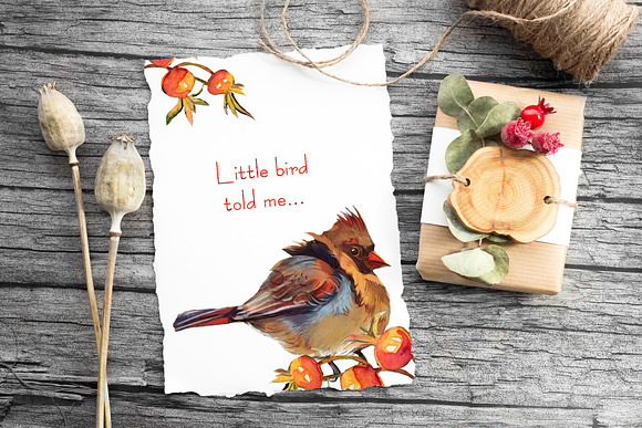 Birds watercolor clipart set in Illustrations - product preview 4