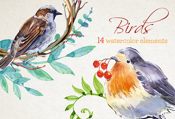 Birds watercolor clipart set in Illustrations - product preview 6