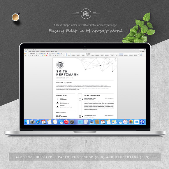 Clean Resume Template / CV Template in Resume Templates - product preview 4