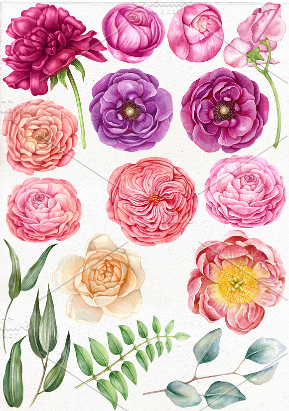 Watercolor pink flowers clip art. in Illustrations - product preview 1