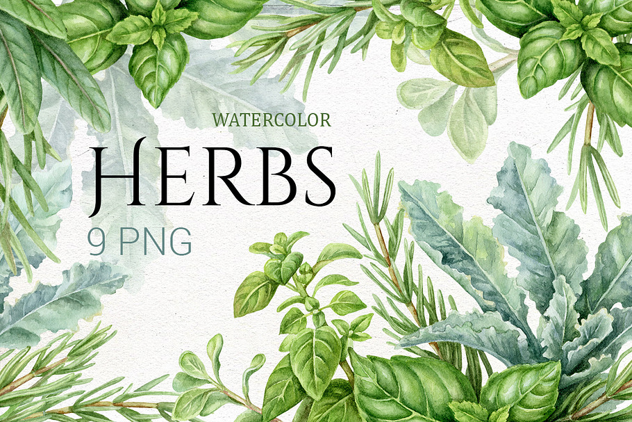 Watercolor kitchen herbs clip art.