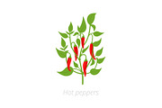 Red chili pepper plant. Vector