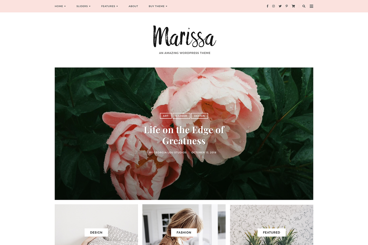Responsive WordPress Theme, Marissa in WordPress Blog Themes - product preview 8