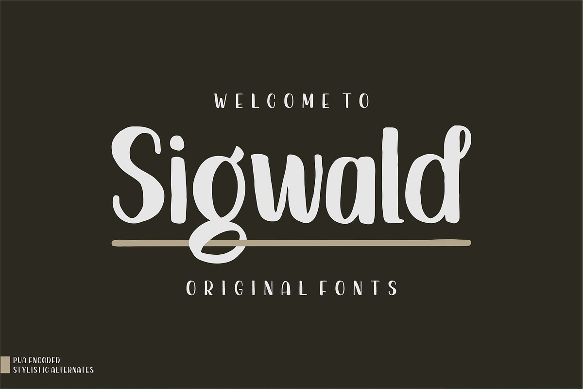 Sigwald - Handdrawn Fonts in Display Fonts - product preview 8