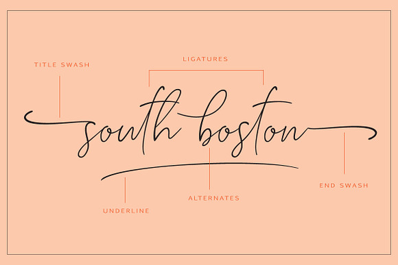 SOUTH BOSTON | REALISTIC SCRIPT in Script Fonts - product preview 5