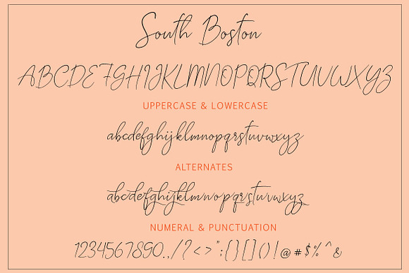 SOUTH BOSTON | REALISTIC SCRIPT in Script Fonts - product preview 8