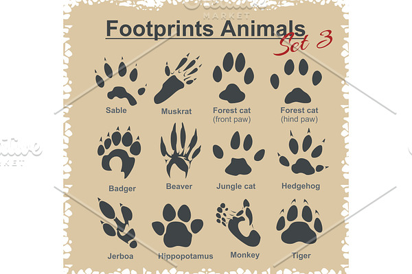 Footprints Animals - vector set.