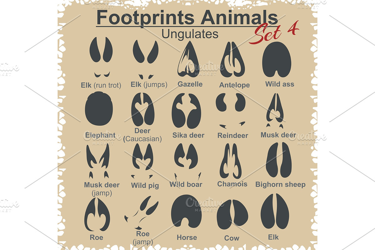 Footprints Animals - vector set. in Illustrations - product preview 8
