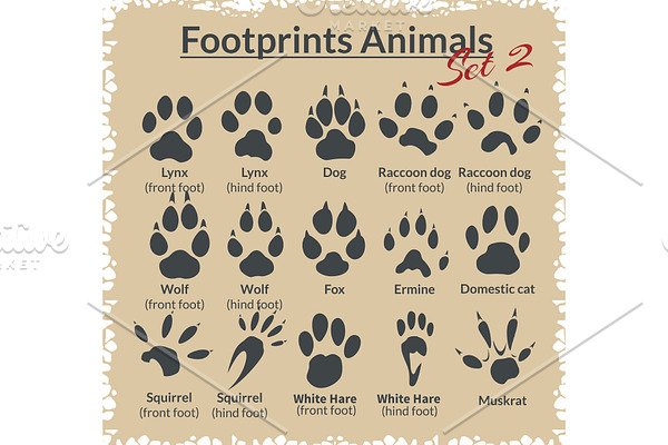 Footprints Animals - vector set.