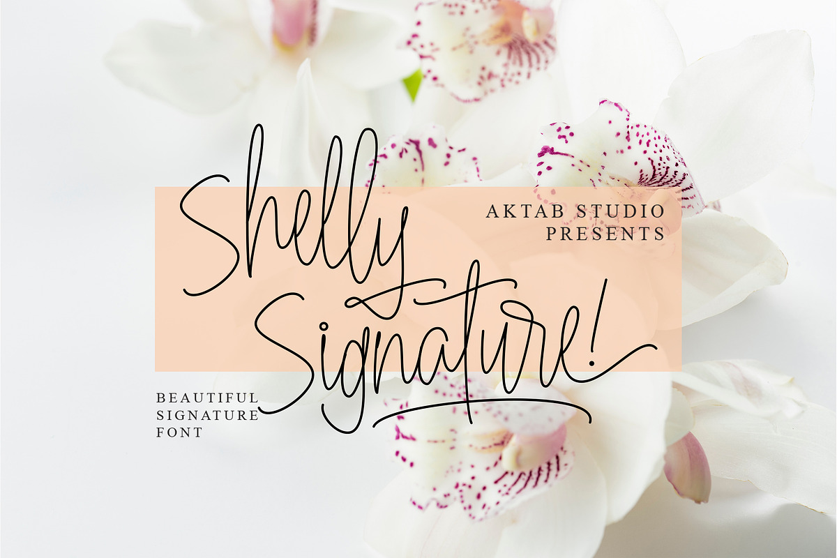 Shelly Signature Font in Script Fonts - product preview 8