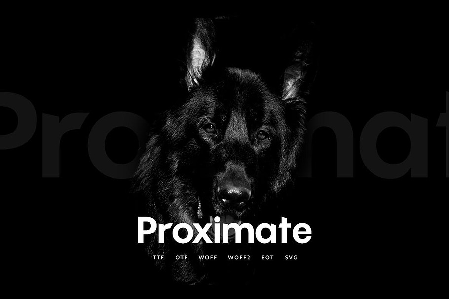 Proximate - Modern Typeface in Display Fonts - product preview 8