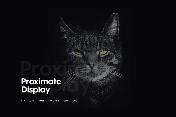 Proximate - Modern Typeface in Display Fonts - product preview 2