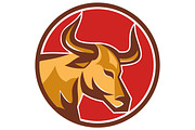 Texas Longhorn Bull Head Circle Retr