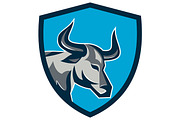 Texas Longhorn Bull Head Shield Retr