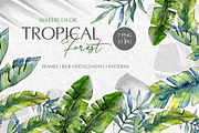 Tropical forest Watercolor png