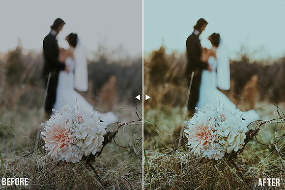Moody Lightroom Presets And Mobile in Add-Ons - product preview 6