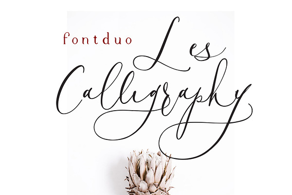 Les Calligraphy Font Duo