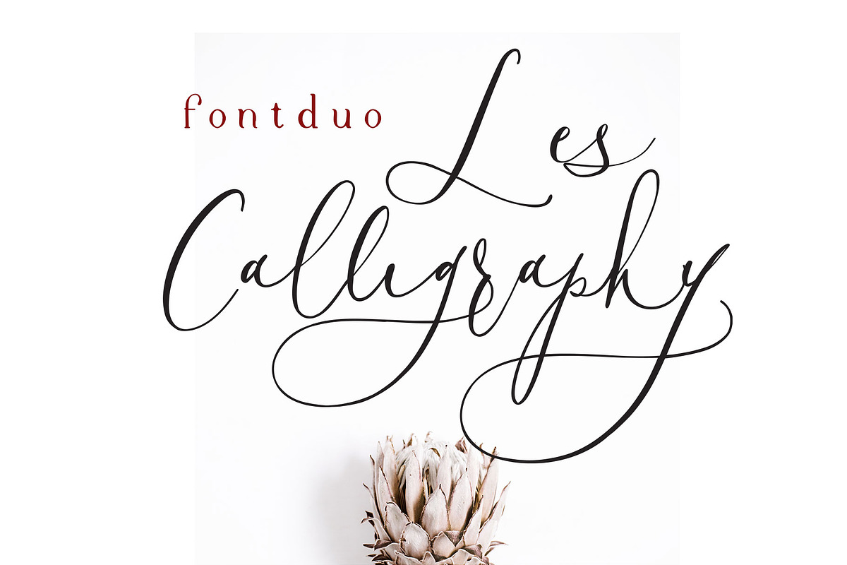 Les Calligraphy Font Duo in Script Fonts - product preview 8
