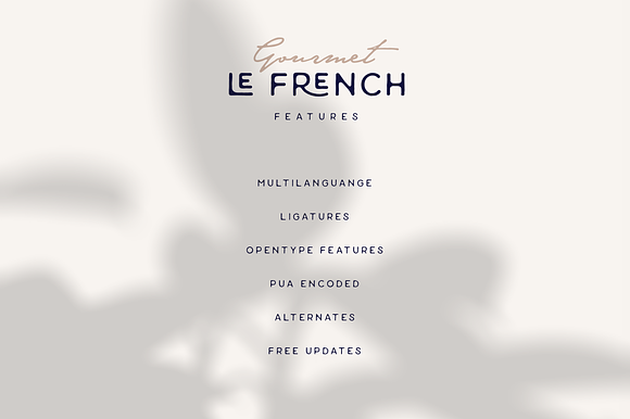 Le French | Modern Elegant Duo in Modern Fonts - product preview 7