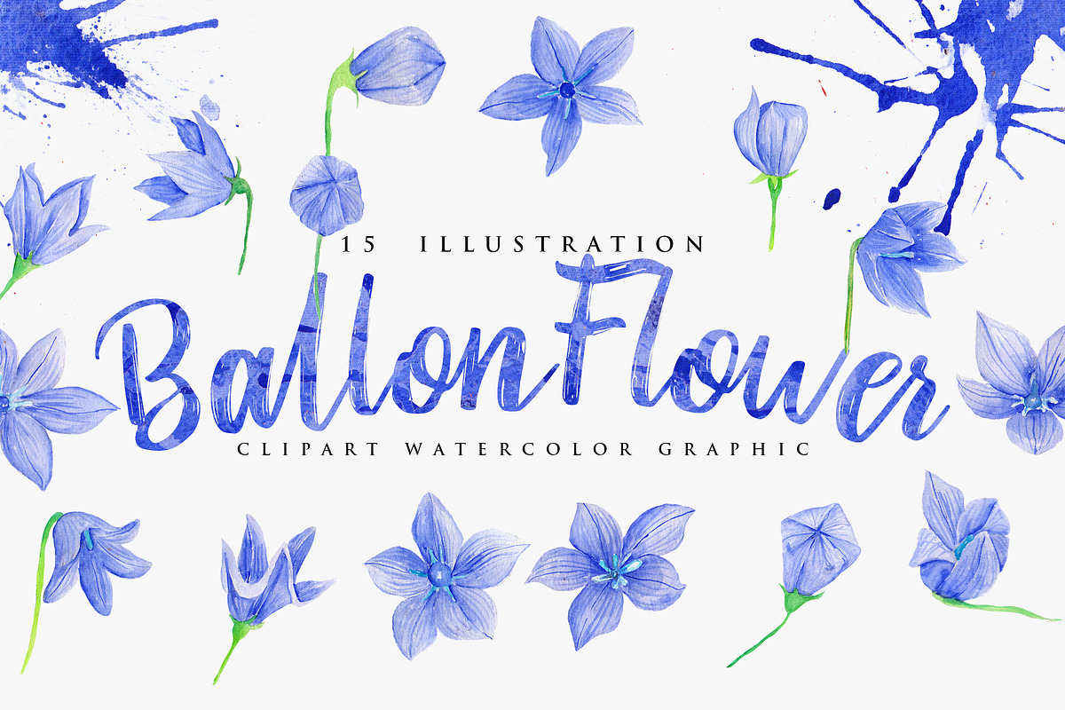 15 Watercolor Ballon Flower in Objects - product preview 8