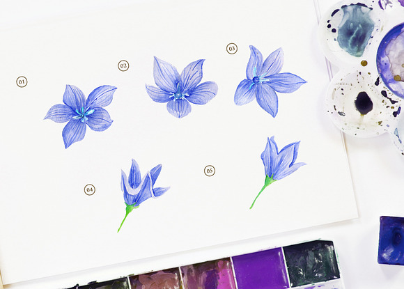 15 Watercolor Ballon Flower in Objects - product preview 1