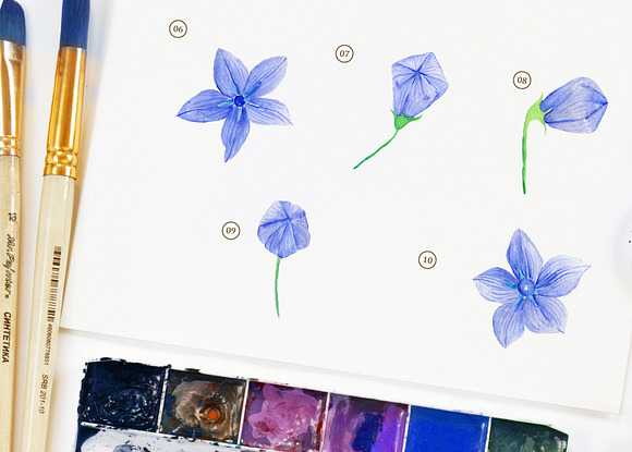 15 Watercolor Ballon Flower in Objects - product preview 2