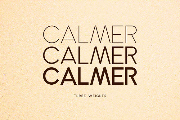 Calmer Font Family in Serif Fonts - product preview 5