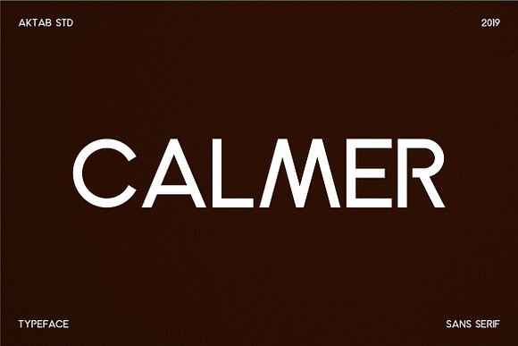 Calmer Font Family in Serif Fonts - product preview 10