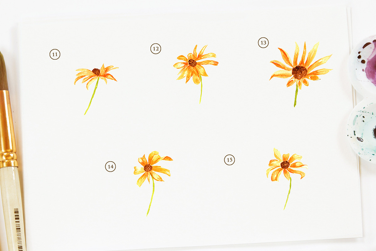 15 Watercolor Rudbeckia Illustration in Objects - product preview 8