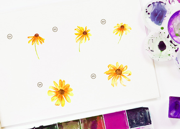 15 Watercolor Rudbeckia Illustration in Objects - product preview 2