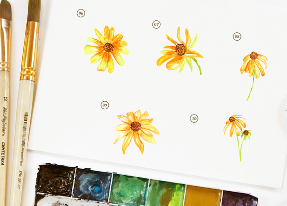 15 Watercolor Rudbeckia Illustration in Objects - product preview 3