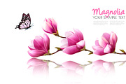 Nature background with pink magnolia
