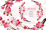 Cherry Tree Blossom Clipart Sakura