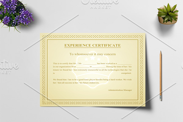 Certificate of Experience Template