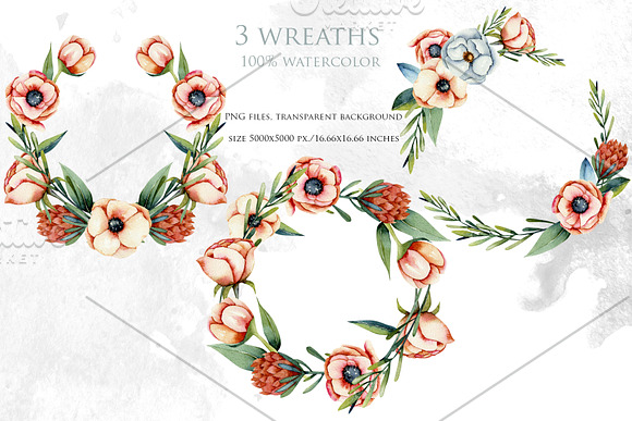 Vermont flowers. Big floral clipart. in Illustrations - product preview 11